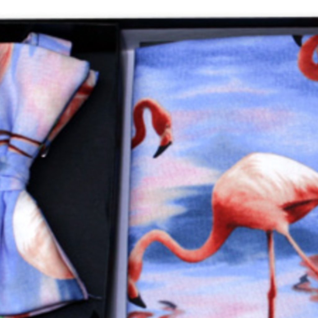Serene Flamingo Cummerbund & Bow Tie Set
